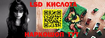 дмт Кингисепп