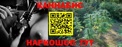 дмт Кингисепп