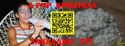 дмт Кингисепп