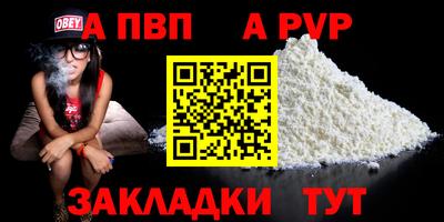 дмт Кингисепп