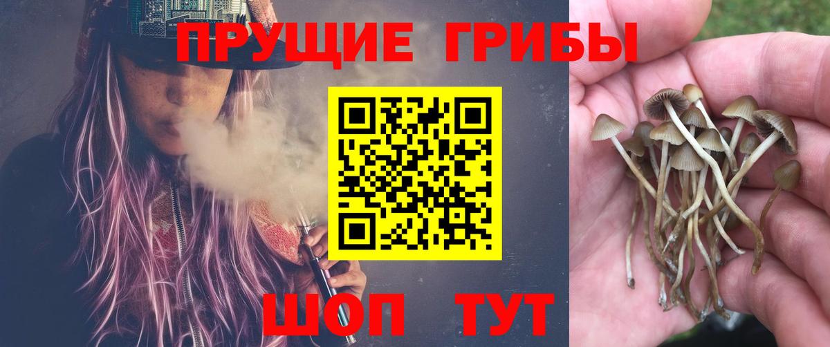 Псилоцибиновые грибы Psilocybe  Псилоцибиновые грибы Psilocybine cubensis  Краснотурьинск  Вход с VPN 